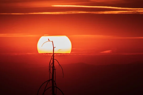 Beautiful Sunset Mountains — Stock Photo, Image