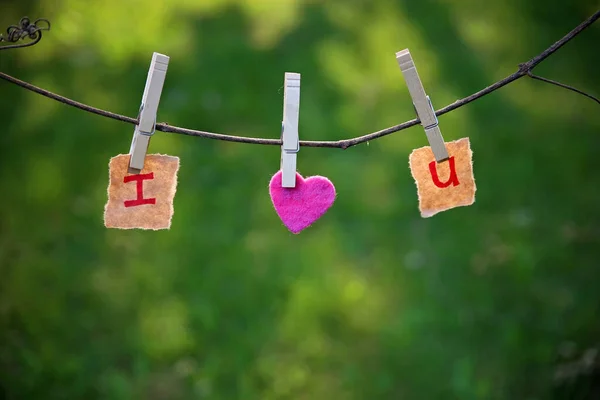 Love You Heart Pinned Clothesline — Stock fotografie