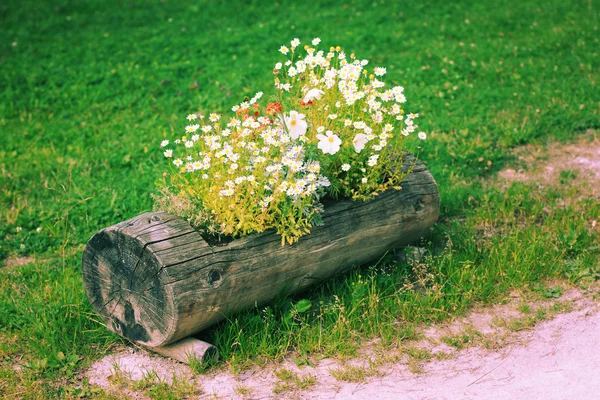 Wooden flower bed — Stock Photo, Image