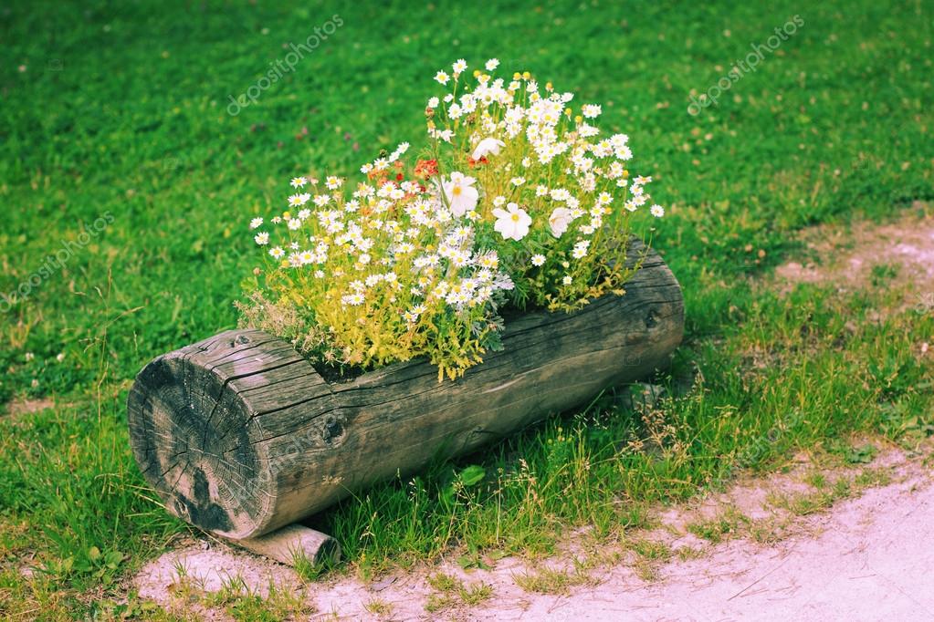 Wooden flower bed — Stock Photo © Zingiber 13722035