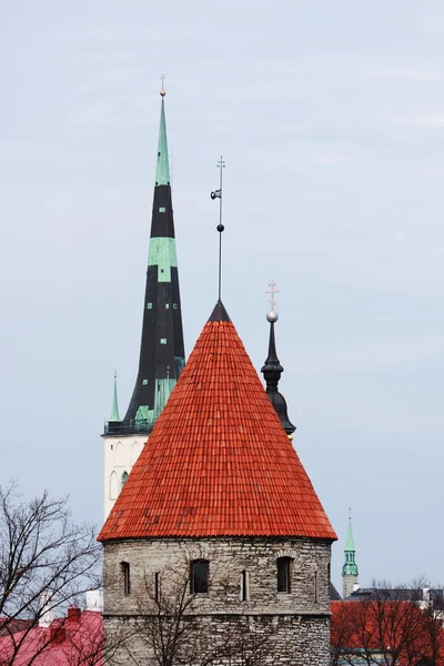 Старые Таллиннские крыши — стоковое фото