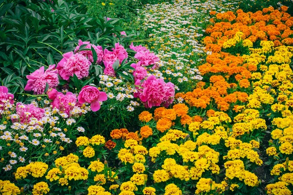 Blomsterrabatt — Stockfoto