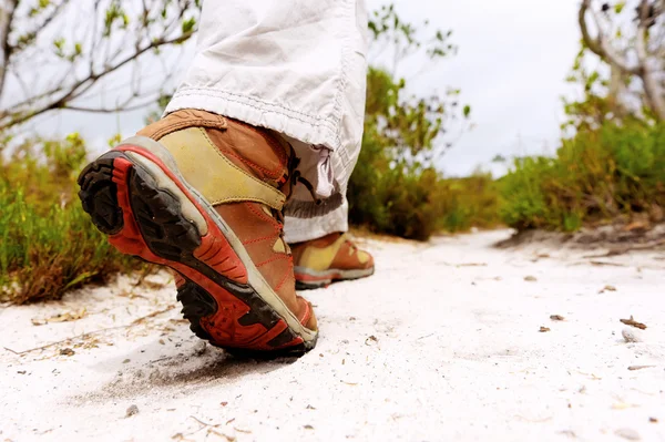 Camminare all'aperto — Foto Stock