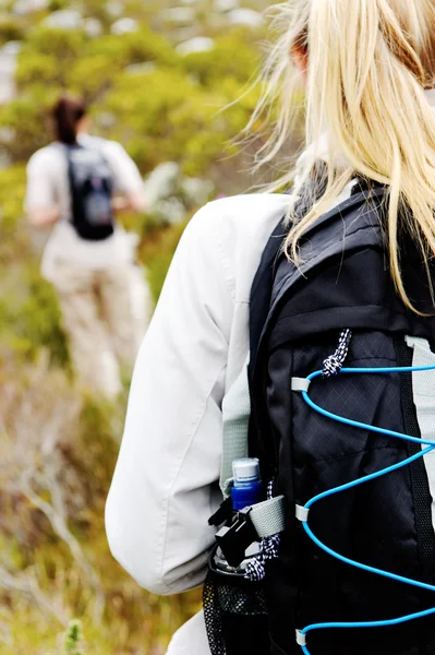 Female exploring — Stock Photo, Image