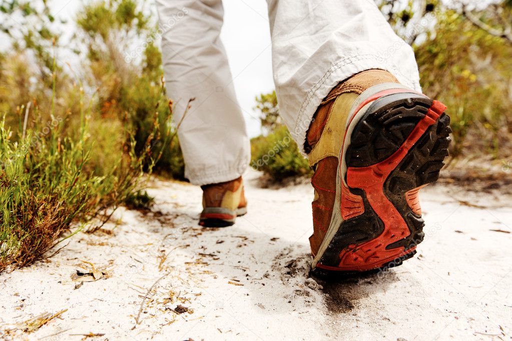 hiking boot