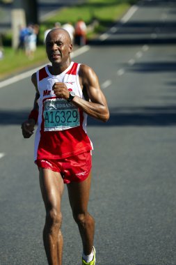 Yoldaşlar Maratonu 2010