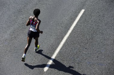 Yoldaşlar Maratonu 2010