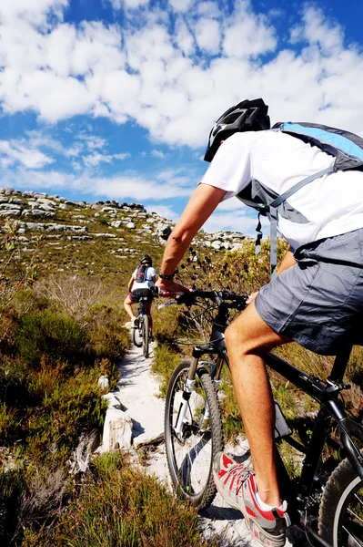 Trilha de bicicleta de montanha — Fotografia de Stock