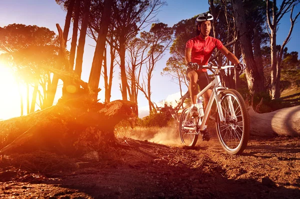 Mountain bike atleet — Stockfoto
