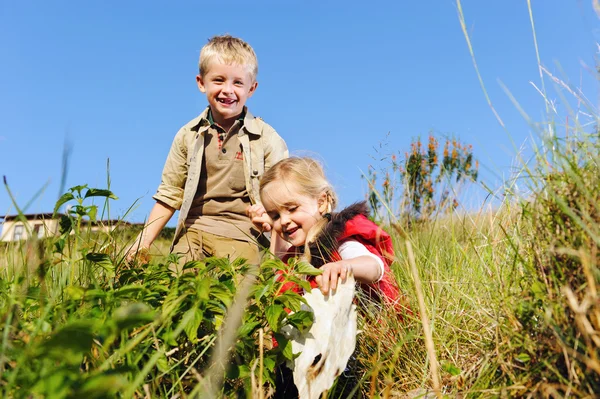 Kinderen die samen spelen — Stockfoto