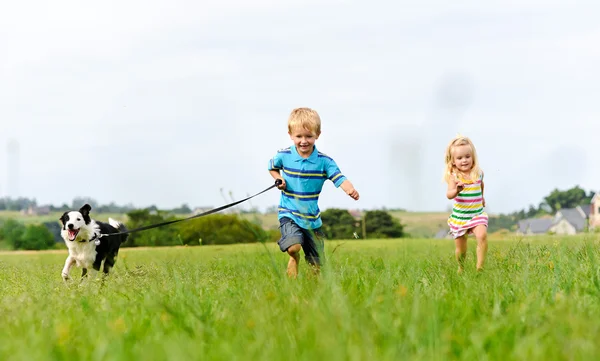 Chasing my brother and the dog in the field — Stock Photo, Image