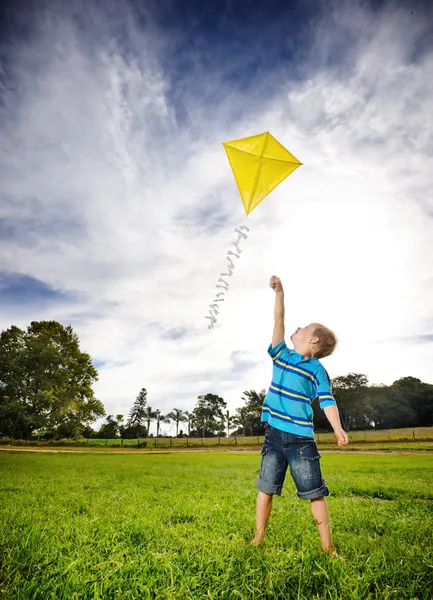 Chico ambicioso volando cometa —  Fotos de Stock