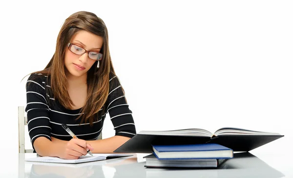 Estudante atraente fazendo trabalho Fotografia De Stock