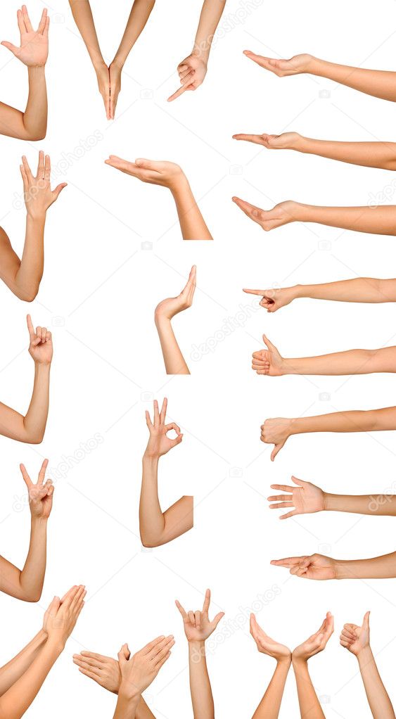 Collage of woman hands on white backgrounds