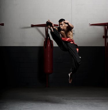 Dövüş sanatları tekme