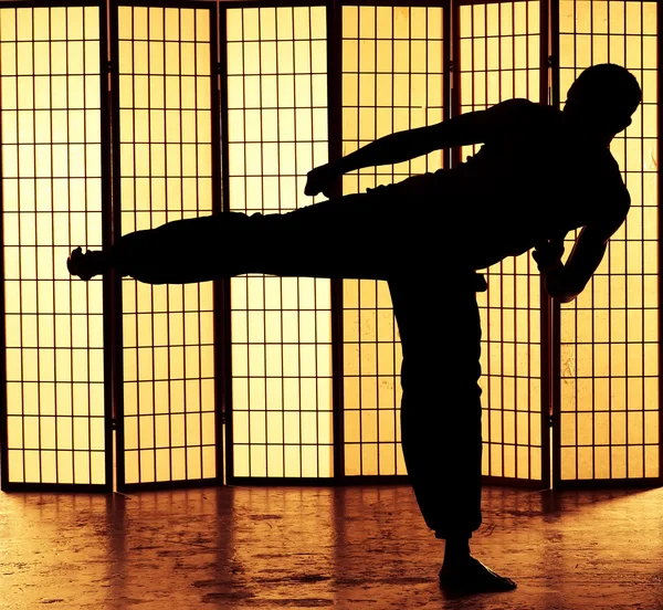 Kung fu kick — Stockfoto