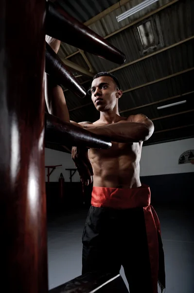 Wing Chun Kung Fu — Stock Photo, Image