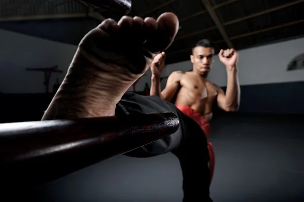 Wing Chun Kung Fu — Stock Fotó