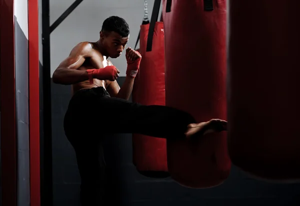 Entrenamiento de lucha — Foto de Stock