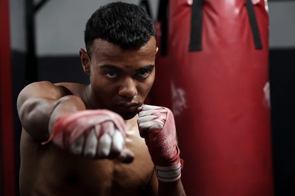 Fight training — Stock Photo, Image