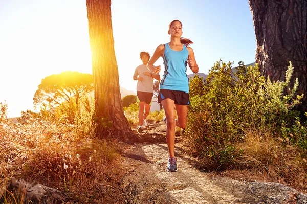 Sendero saludable corriendo —  Fotos de Stock