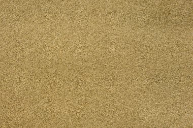 Sandy background texture