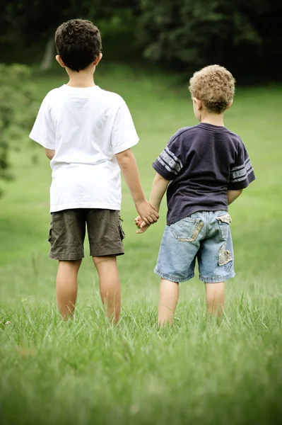 Brothers hold hands in field — Stock Photo, Image