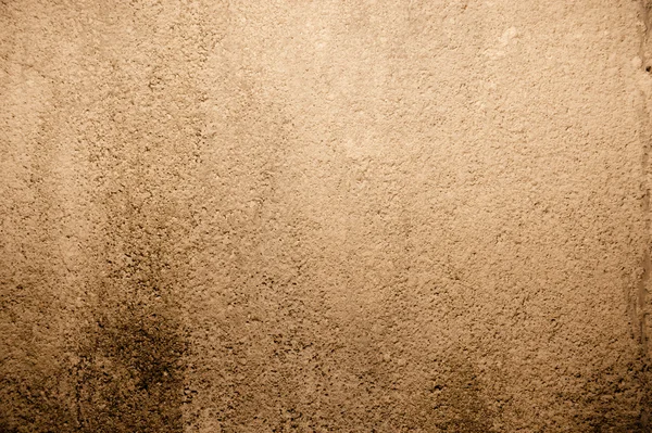 穀物 backgoround のテクスチャ — ストック写真