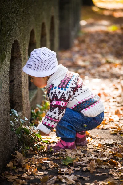 Bébé fille dans le parc d'automne doré — Photo