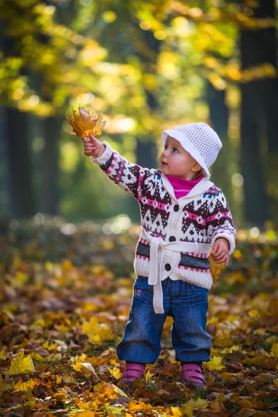 Kojenecká holčička v golden podzimní park — Stock fotografie