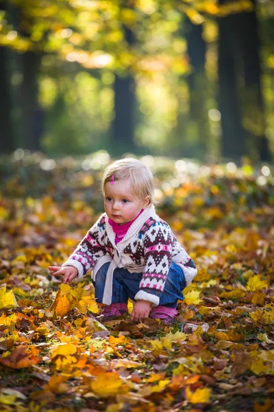 Малышка в золотом осеннем парке — стоковое фото