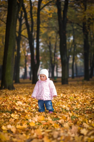 Niemowlę dziecko dziewczynka w złotej jesieni park — Zdjęcie stockowe
