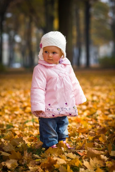 Bebé niña en el parque de otoño de oro —  Fotos de Stock