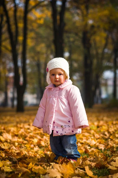 Infant baby girl in golden autumn park — Stock Photo, Image