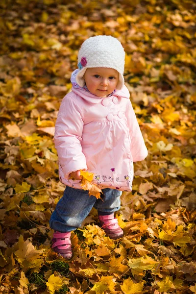 Menina bebê infantil no parque de outono dourado — Fotografia de Stock