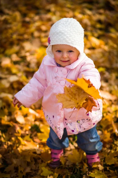 Kojenecká holčička v golden podzimní park — Stock fotografie