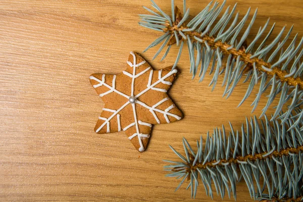 Decorated homemade gingerbread cookies — Stock Photo, Image