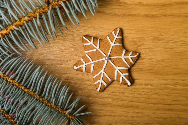 Decorato biscotti fatti in casa pan di zenzero — Foto Stock