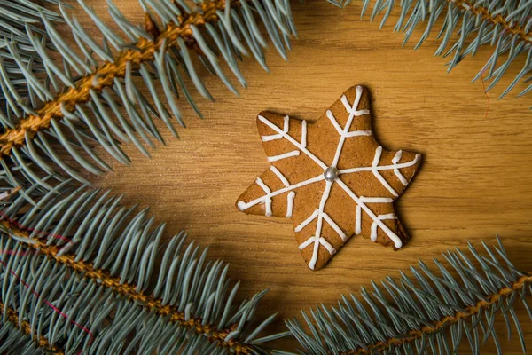 Decorated homemade gingerbread cookies — Stock Photo, Image
