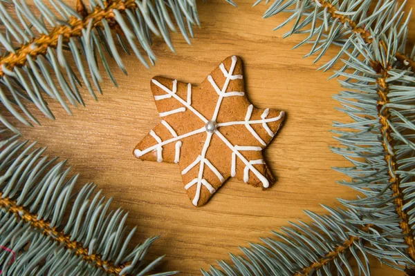 Decorated homemade gingerbread cookies — Stock Photo, Image