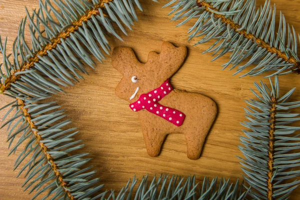 Decorated homemade gingerbread cookies — Stock Photo, Image