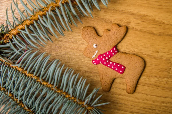 Decorated homemade gingerbread cookies — Stock Photo, Image