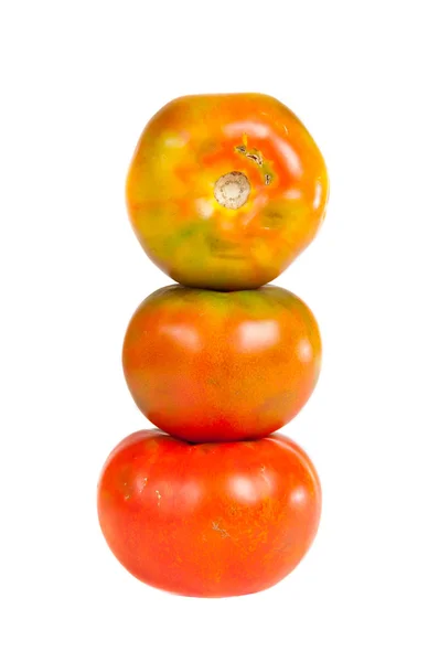 Tomaten — Stockfoto