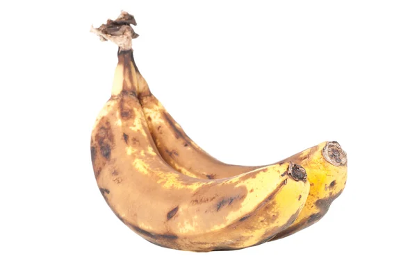 인 바나나 — 스톡 사진