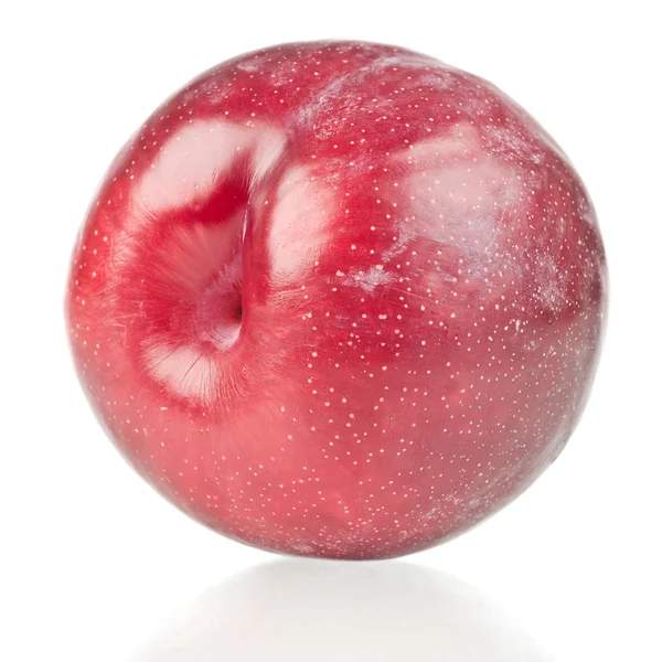 Red plum — Stock Photo, Image