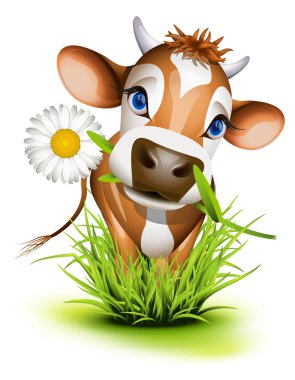 Jersey cow in grass clipart
