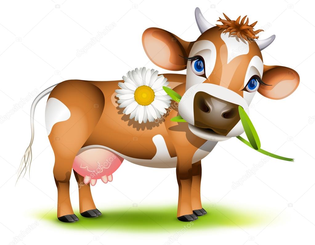 Little Jersey cow eating daisy — Stock Vector © tiloligo 13314780