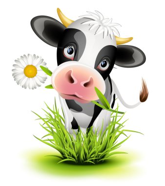 Holstein cow in grass clipart