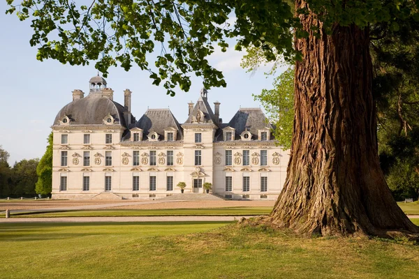 Chateau de cheverny hinter dem Baum — Stockfoto