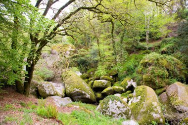 kayalar, Brittany, Fransa huelgoat 